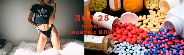 PSILOCYBIN Балабаново