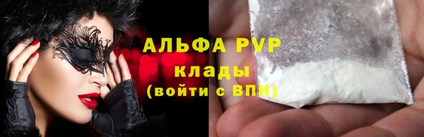 спиды Рославль