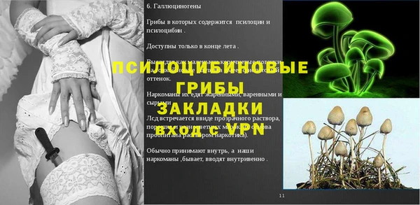 спиды Рославль